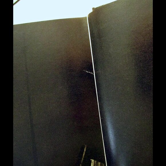 Book - (Ballet) Baryshnikov at Work: Mikhail Baryshnikov Discusses His Roles - Picture 11 of 16